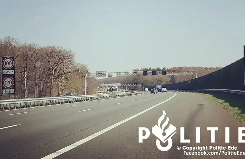 92516512 1682109381930168 1924376834460352512 o