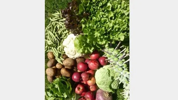 9e56f600 9f1e 4f27 b7b8 45c9e209d9c8