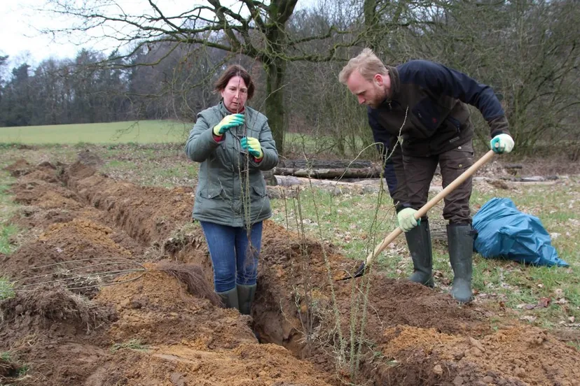 aanplant beplanting haag 1a 1320x879