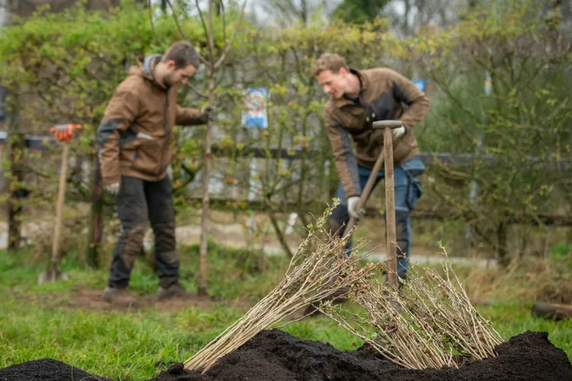 aanplant dorpen in het groen bron david van haren