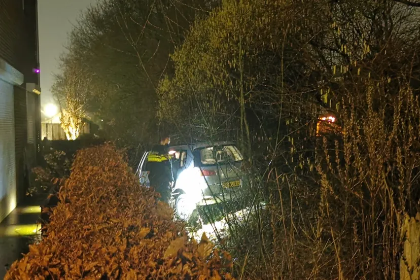 asm auto in tuin ede