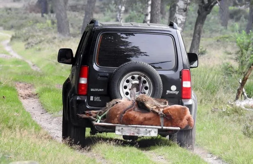 auto jachtfoto michael de vries