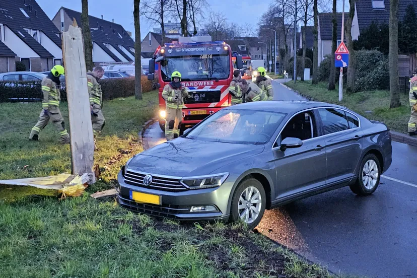auto tegen boom