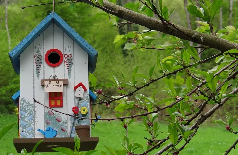 aviary 329236 960 720