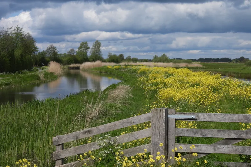 binnenveld nc veluwe 01 foto harm roseboo sr