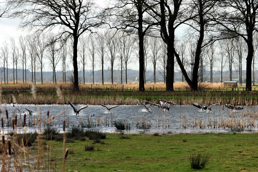 binnenveld van marten idema 1