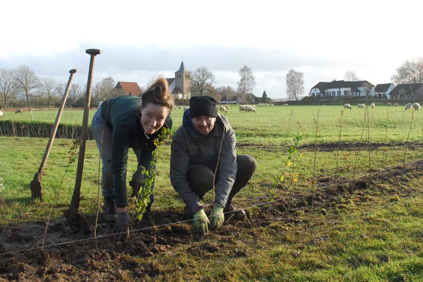 bomen planten gelderland