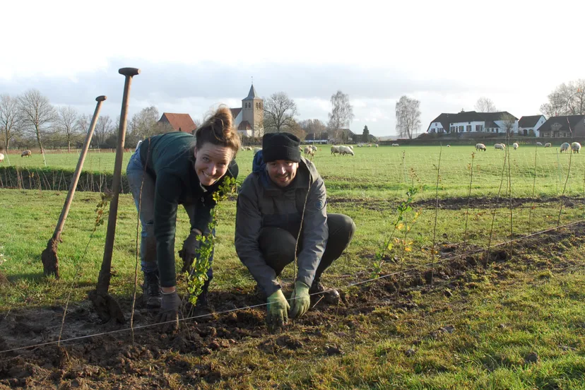 bomen planten gelderland