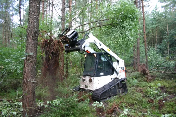 bosbeheer eline de jong