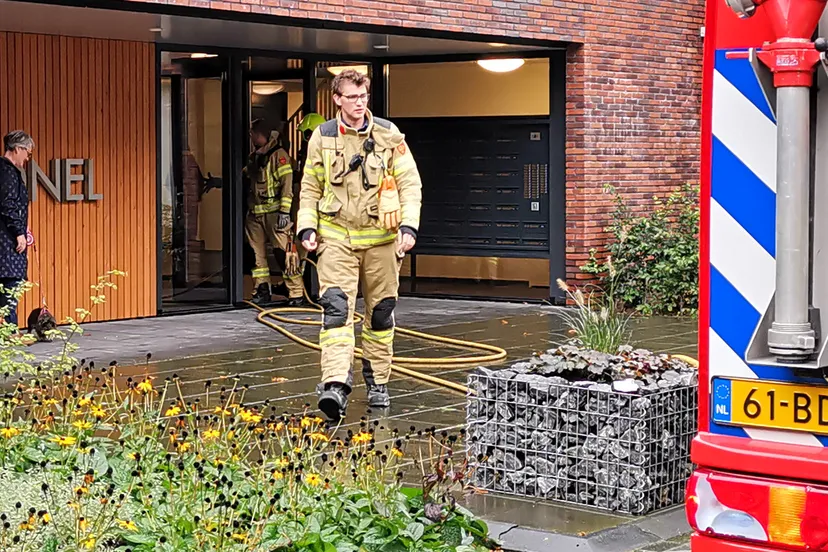 brand ede