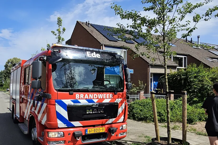 brand ede