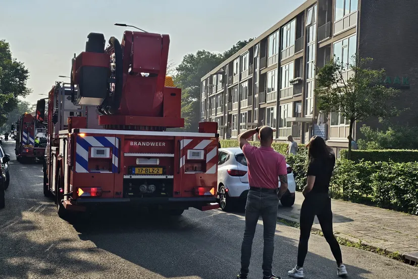 brand flat ede