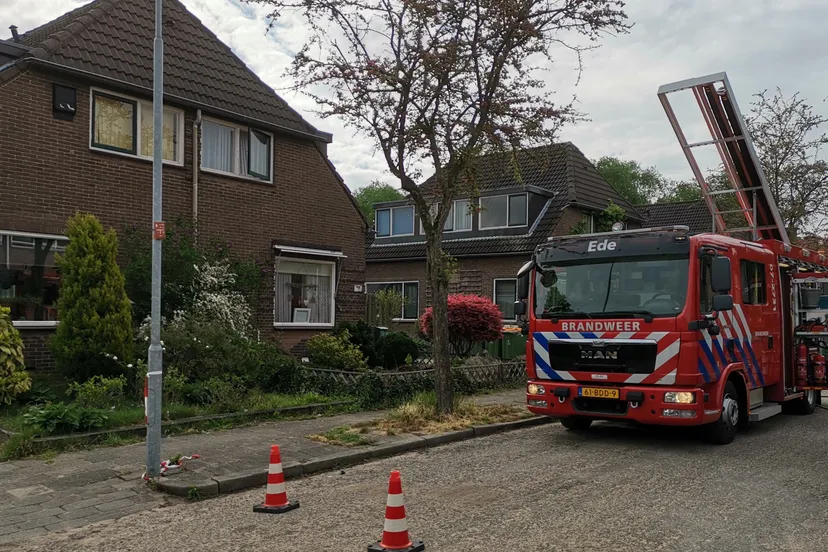 brand in ede