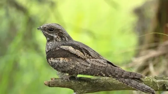 cc6082c3 d407 42a4 b7ed 2a7bb4f1c76b