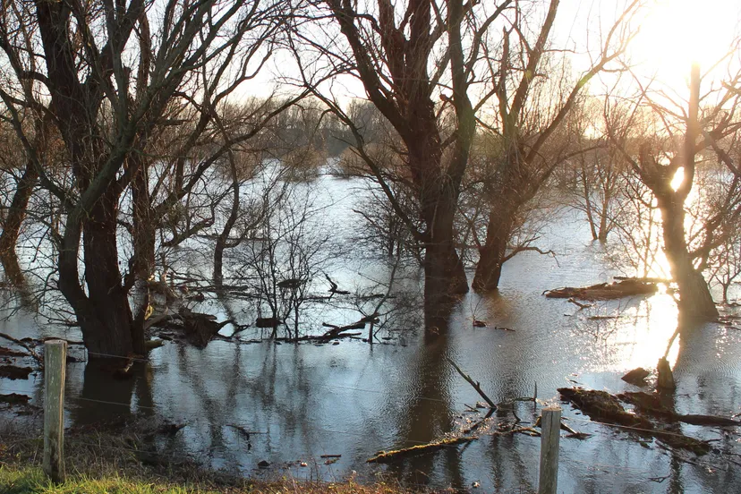 chris ouboter edenieuwsnl