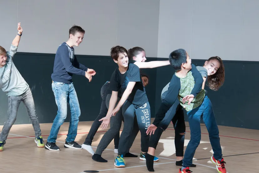 copyright pallas athene