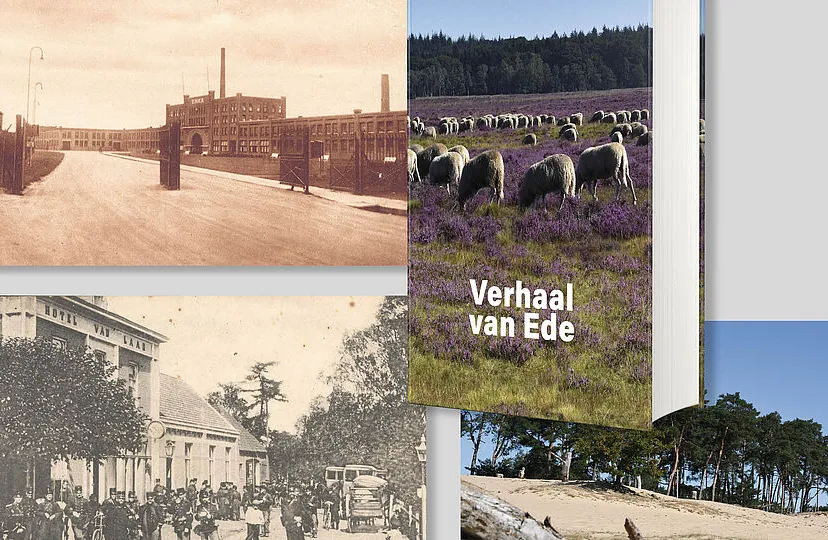 csm a collage 4bc55ec5dd