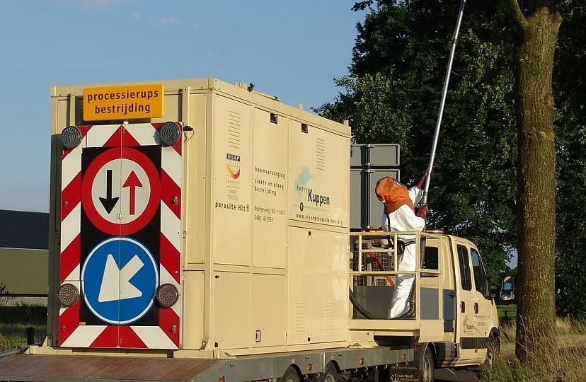 csm a eikenprocessierups ceb9576e9b