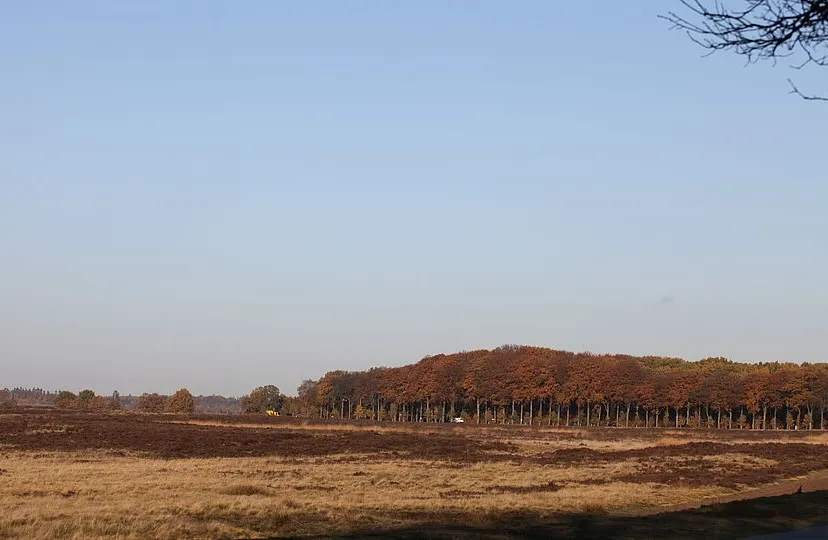 csm a hei herfst 3d2abfa7a7