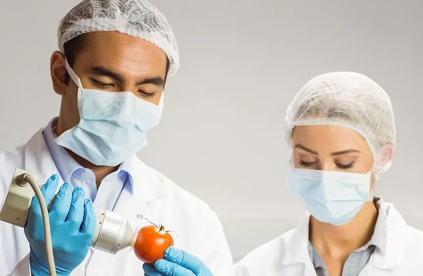 csm foto tomaat dc7bf98eba