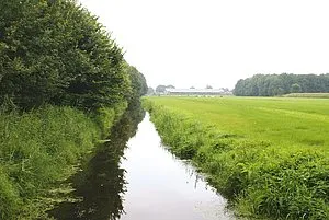 csm pb009 uitdeeldag maakt edese landschap mooier afbeelding f1617edf3f