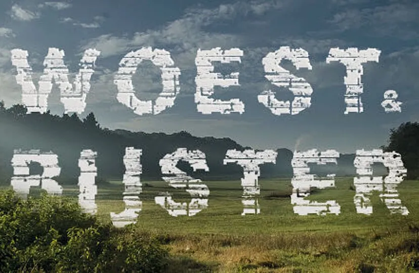 csm pb010 woest en bijster 253539a507