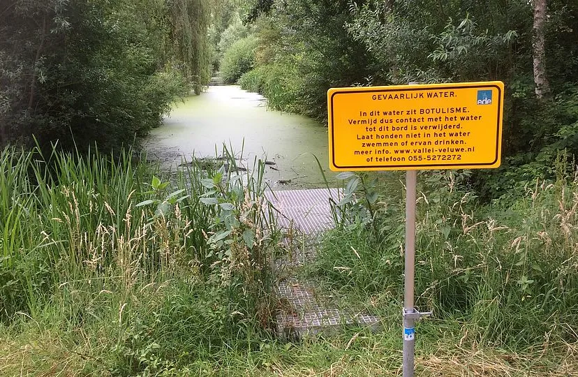 csm pb081 botulisme en blauwalgen in sloten veldhuizen 93a0d7e3b0