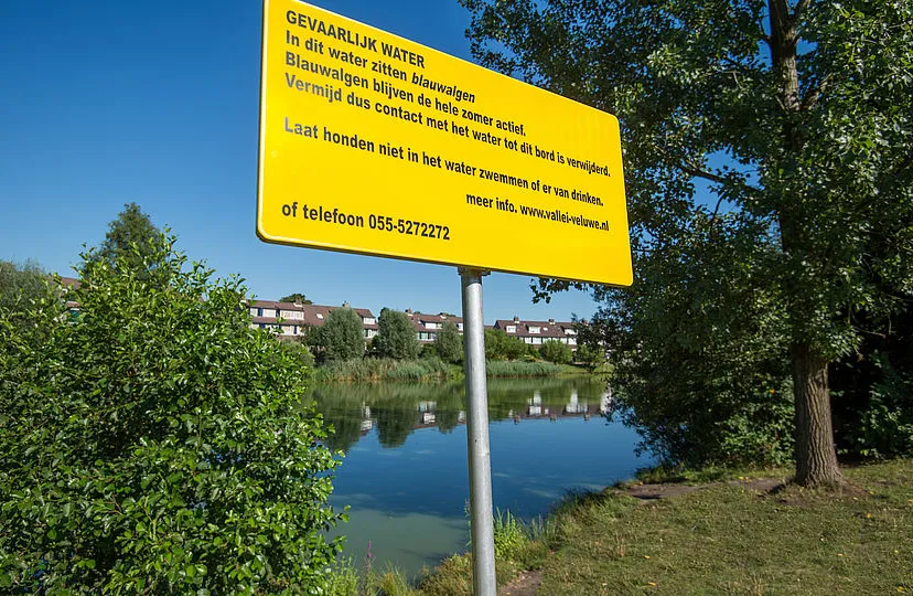 csm pb085 blauwalgen aangetroffen in de victoria vesta vijver ea57bfa8b1