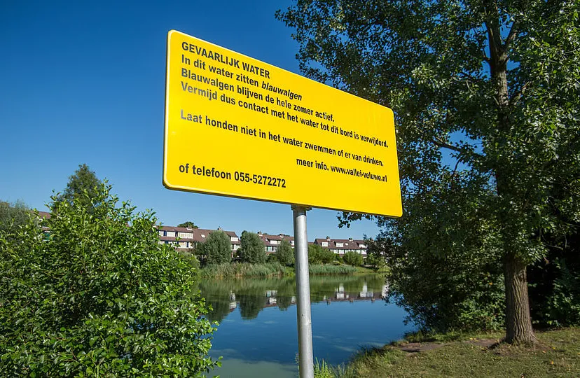 csm pb119 blauwalgen aangetroffen in vijver bij ziekenhuis gelderse vallei afbeelding eb3399ca32