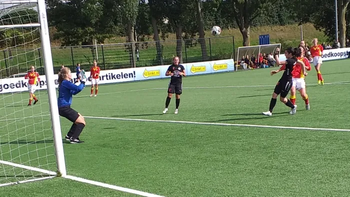 d279c3d3 ddcb 48b5 b4b2 6977cd221bfc