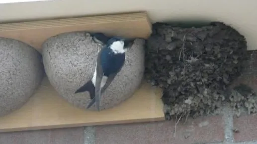 d87792a9 37ea 496a b85d 5cbec14f9f57