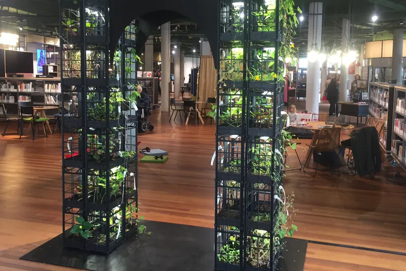 de groeiboog mg 7138