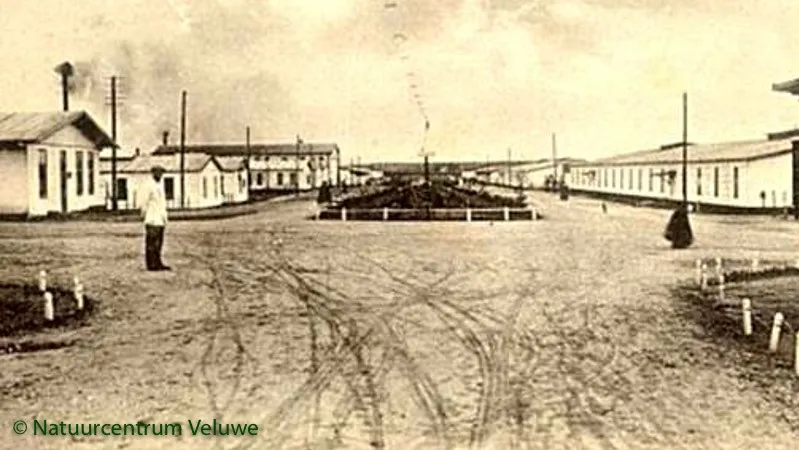 edese veluwse sporen van de oorlog448