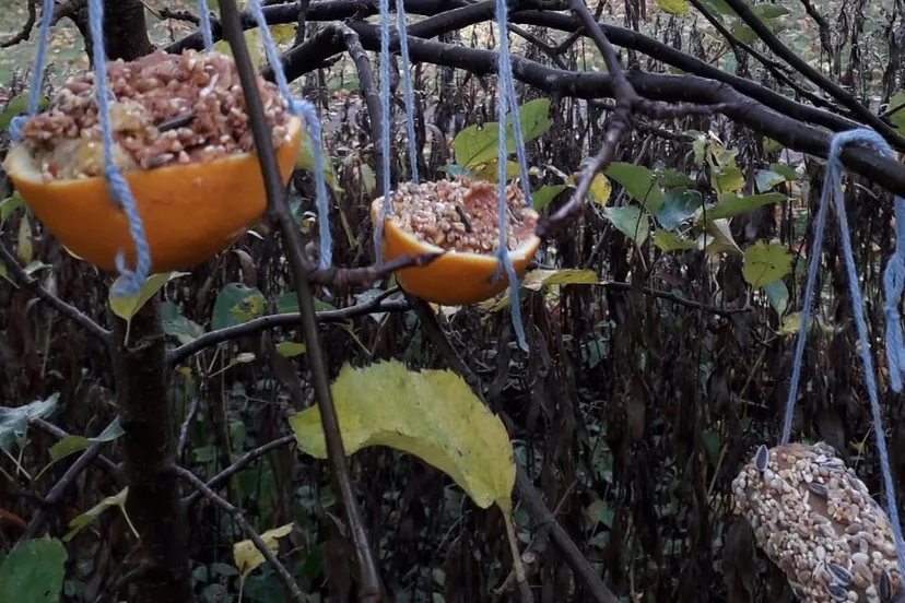 erfgoed kerstdiner vogels