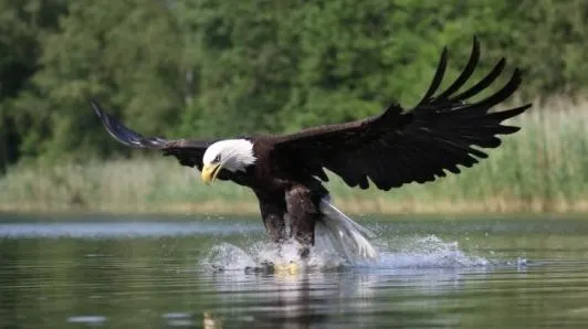 f0049c3b bff1 4cae a312 7b1574bb3310