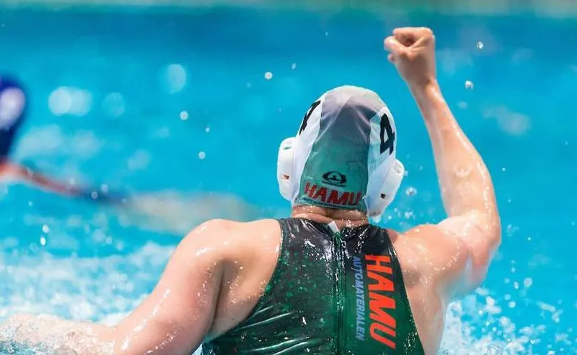 facebook polar bears