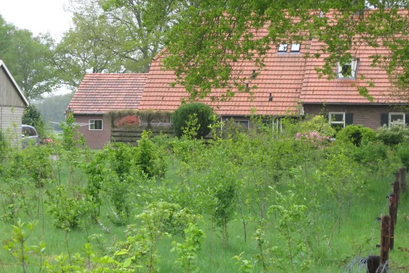 foto 3 pas aangeplant vogelbosje