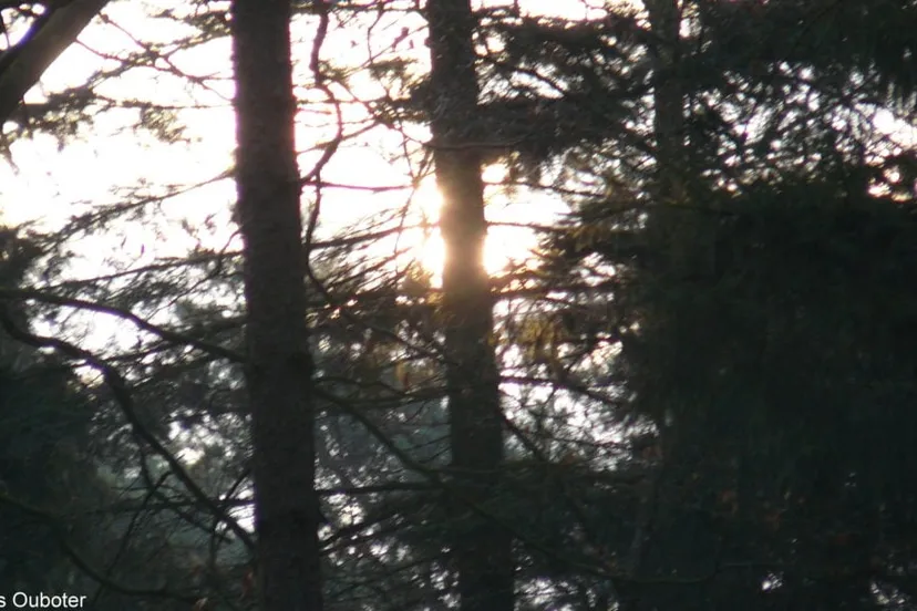 foto bos chris 1024x576