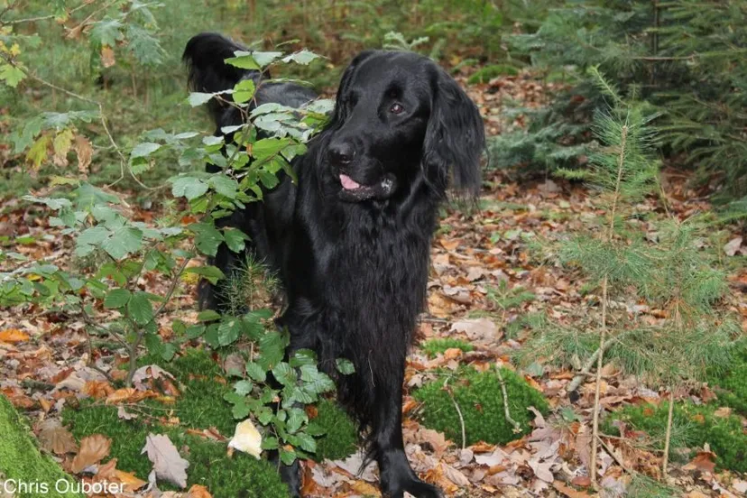 foto rakker 1024x577