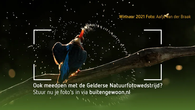 foto winnaar natuurfotowedstrijd 2021 aafje van der braak
