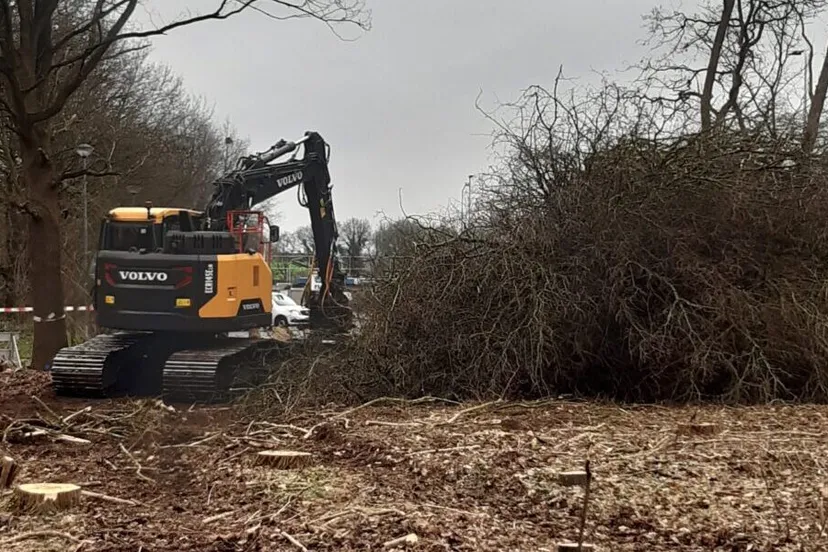 gekapte bomen voor de parklaan