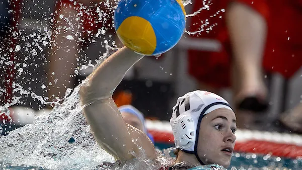 gertjan kooij facebook polar bears