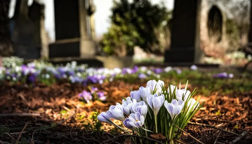 graffoto edenieuwsnl