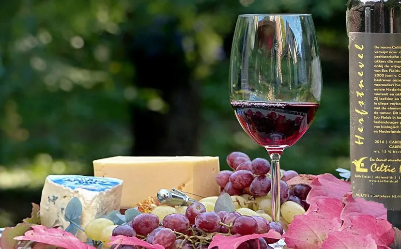 herfstnevel website landscape