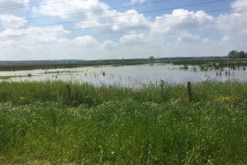 het binnenveld binnenveldse hooilanden