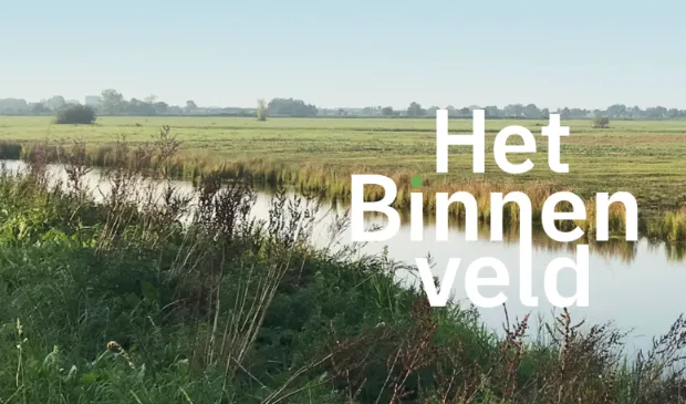het binnenveld okker