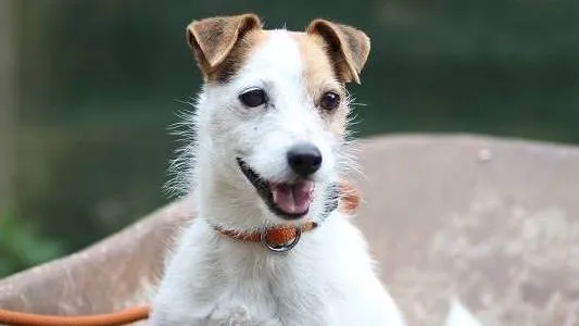 hof van eden facebook