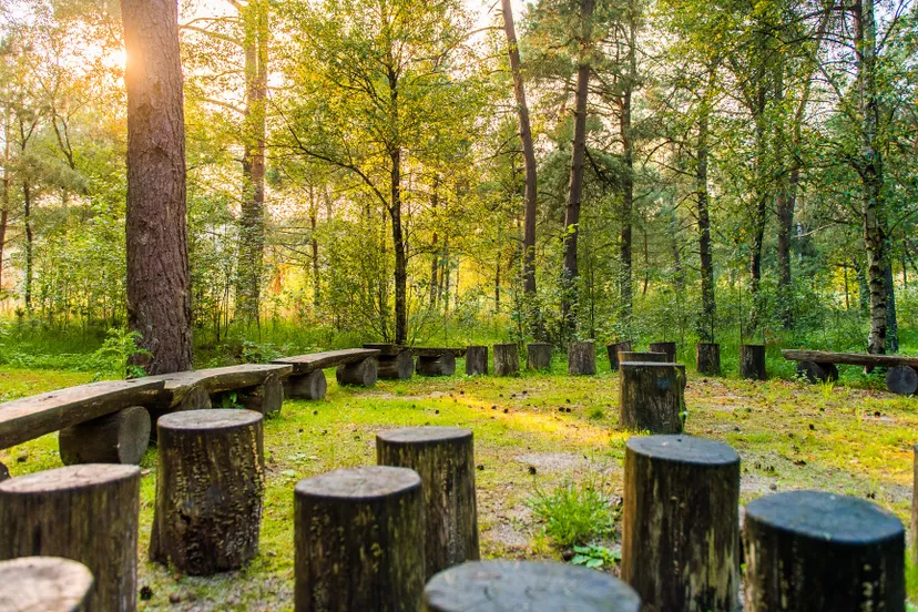 hp 20170828 natuurbegraafplaatsheidepol arnhem 0015 0141