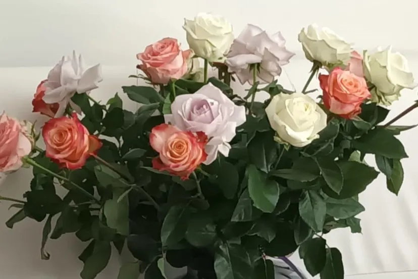 Van harte gefeliciteerd! Redactie Ede.Nieuws.nl