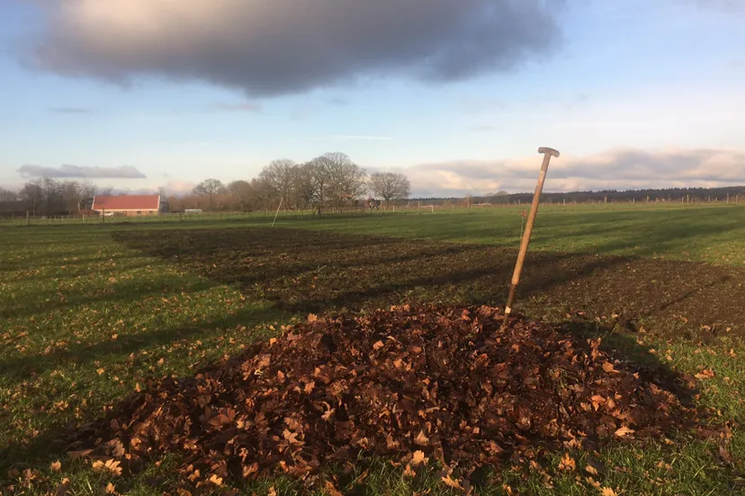 img 6706 2000x1200 1